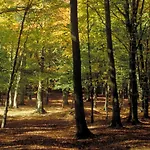 Ibis Hotel Nemours